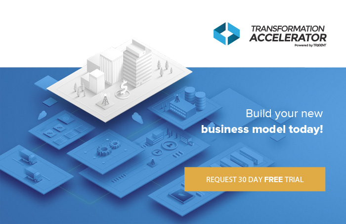 Business Ecosystem Modeling & Training | Transformation Accelerator ...